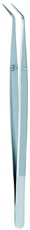 PRECELLES COLLEGE MANCHE LISSE 772DP/2N