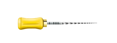 PROTAPER ASSORT MANUEL 25MM NEW