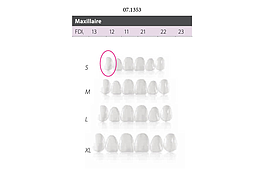 FACETTES COMPONEER SUPERIOR S EN. UNIVERSAL 13