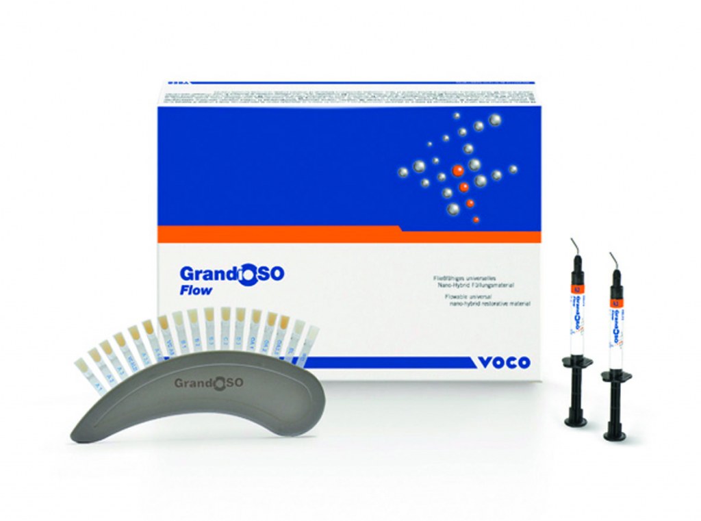 GRANDIO SO FLOW SPRITZE 2X2 G INCISAL