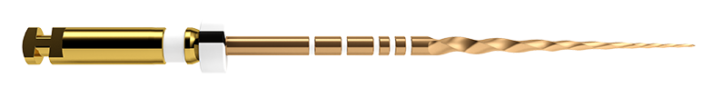 PROTAPER GOLD S2 25MM 6ST