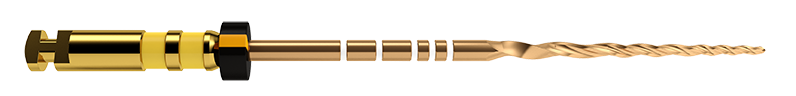 PROTAPER GOLD F5 31MM 6ST.