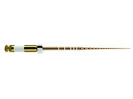 WAVEONE GOLD GLIDER 6-FEILE STERILE 31MM 15